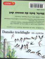 Danimarca Danmark Denmark Dänemark 1999 Uccelli - Birds Carnet S103 ** MNH - Ongebruikt