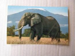 Elephant   - Mount Kilimanjaro - KENYA 1966 Stamp   D83267 - Olifanten