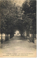 St  Pierre D'oléron      Une Allée Place Gambetta - Saint-Pierre-d'Oleron