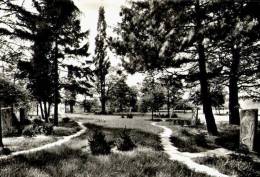 AK Viersen, Kreuzweg Im Park, St. Remigius-Haus, Kreuzweg Im Park, Gel 1981 - Viersen