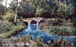 Beatiful Old Post Card   "  THE OLD BRIDGE, WALSINGHAM ABBEY   " - Other & Unclassified