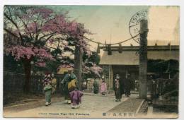 Japon,Japan,Yokoyama,Cher Ry Blossom Noge Hill, Adresse à Toulouse - Yokohama