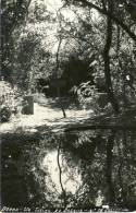 BORBA  Um Trecho Do Bosque  2 Scans  PORTUGAL - Evora