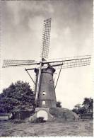 Pulderbos Molen - Zandhoven