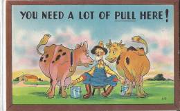 Cpa Usa, Humorous, Humour, You Need A Lot Of Pull Here! Cows - Autres & Non Classés