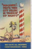 Cpa Usa, Humorous, Humour, Dog Gone! What'll These City Fellers Be Thinkin'up Next? - Autres & Non Classés