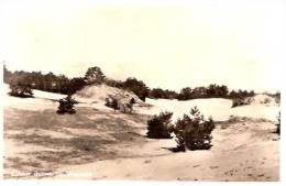 Waalwijk, Loonse Duinen - Waalwijk