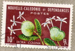 NOUVELLE-CALEDONIE : Fleurs : Ixora Collina - Famille Des Rubiacées - Endémique De N-C - Gebruikt