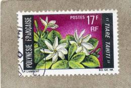 POLYNESIE Française : Fleurs : Tiaré Tahiti Ou Fleur De Tiaré Ou Fleur De Tahiti (Gardenia Tahitensis) -Rubiacées - Gebraucht