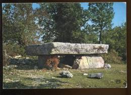 CPM Non écrite 46 Environs De LIVERNON Dolmen De La PIERRE MARTINE - Livernon