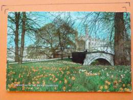 E1-royaume-uni--angleterr E-springtime In The Backs --cambridge--pont Animee - Cambridge