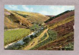 32887   Regno  Unito,   The  Doone  Valley  -  Exmoor,  VG  1962 - Otros & Sin Clasificación