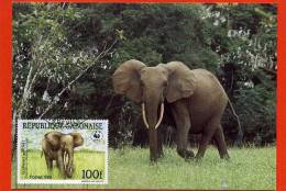 CARTE MAXIMUM GABON ELEPHANT DE FORET ANIMAUX EN VOIE DE DISPARITION - Elefanten