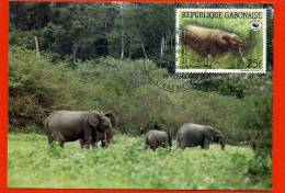 CARTE MAXIMUM GABON ELEPHANT DE FORET ANIMAUX EN VOIE DE DISPARITION - Elefanten