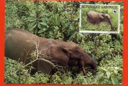 CARTE MAXIMUM GABON ELEPHANT DE FORET ANIMAUX EN VOIE DE DISPARITION - Elefanten