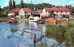 Beatiful  Post Card    "    COLTISHALL, NORFOLK BROADS       " - Great Yarmouth