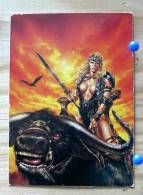 LUIS ROYO COLLECTOR CARDS  1 RAVEN V PIN UP GUERRIERE  SERIE FROM FANTASY TO REALITY - Altri & Non Classificati