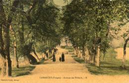 LAMARCHE Avenue Des Tilleuls - Lamarche