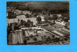 44 CARQUEFOU : Château Et Sanatorium De Maubreuil - Vue Aérienne N°8 "gaby" - Carquefou