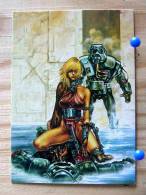 LUIS ROYO COLLECTOR CARDS  35 FLAMING BESS I PN UP GUERRIERE   SERIE FROM FANTASY TO REALITY - Altri & Non Classificati