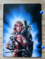 LUIS ROYO COLLECTOR CARDS  39 HEAVY METAL CALENDAR 1993  PIN UP GUERRIERE   SERIE FROM FANTASY TO REALITY - Autres & Non Classés