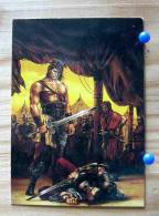 LUIS ROYO COLLECTOR CARDS  22 CONAN IV GUERRIER SERIE FROM FANTASY TO REALITY - Other & Unclassified