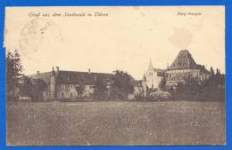 Deutschland; Düren; Burg Burgau; Gruss Aus Dem Stadtwald; 1919 - Dueren