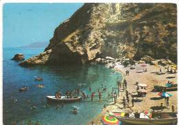 60597) Cartolina Viaggiata Nel 1970 - Pizzo - Spiaggia Seggiola - Vibo Valentia