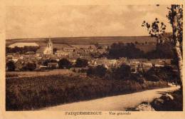 FAUQUEMBERGUE  -  Vue Générale - Fauquembergues