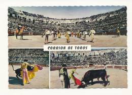 Cp, Corrida, Corrida De Toros, Multi-Vues - Corridas