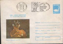 Romania-Postal Stationery Envelope 1980-Roebuck;cerf;Hirsch-Yea R Of Nature Protection - Game