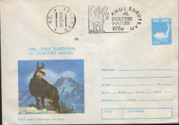 Romania-Postal Stationery Envelope 1980-Chamois;Gämse-Year Of Nature Protection - Animalez De Caza