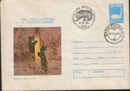 Romania-Postal Stationery Envelope 1980-Brown Bear;L´ours Brun;Braunbär-Year Of Nature Protection - Bears