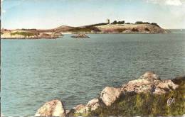 22 - Saint Jacut Sur Mer : Vue Vers L'Île Des Ebihens - Saint-Jacut-de-la-Mer