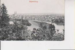 Litho Regensburg Panorama Donau Kirche Bäume Um 1910 - Regensburg