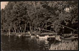 AK Hölzerner See, Gel, 1960 (Königs Wusterhausen, Neubrück, Katzenberge) - Königs-Wusterhausen