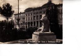 Carrara Il Porcellino - Carrara