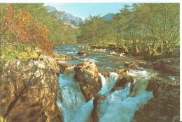 UK, Lower Falls, Glen Nevis, Unused Postcard [12138] - Inverness-shire