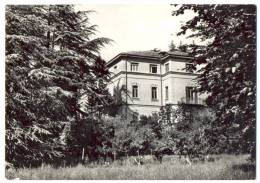 Anni '50, Varese - Noviziato Suore Ausiliatrici Del Purgatorio / 1950's, Italy, Lombardia, Varese - Nunnery - Varese