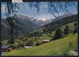 Mayens De Riddes (1500 M) La Tzoumaz Et Le Mont Gelé (3024 M) ; Form. 10 / 15 (10´049) - Riddes