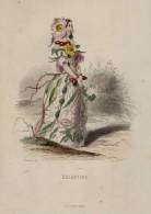 SUPERBE GRAND ( 25 X 17cm ) LITHO COLORE MAIN - EGLANTINE - Ch. Geoffroy (1819-1882) - édit De Conet - Litografia