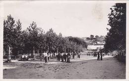 SPORTS PETANQUE SAINT CYR SUR MER JARDIN PUBLIC ET JEU DE BOULES Editeur Coffe Et Estienne - Petanca