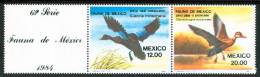 1984 Messico Birds Vogel Oiseaux Set MNH** Spa21 - Patos