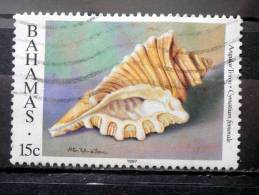 Bahamas - 1997 - Mi.nr.891 - Used - Molluscs And Echinoderms - Angular Triton - Cymatium Femorale - Definitives - Bahamas (1973-...)