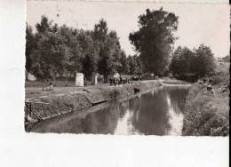 CHATILLON COLIGNY - Loiret - La Lancierre Et Sa Plage - Chatillon Coligny