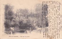 Tieghem,  Bois De Tieghem, 1901 Stempel Avelghem - Anzegem