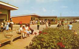 32988   Regno  Unito,     Porthcawl,  Trecco  Bay -  Caravan  Camp  Centre,  VG  1966 - Autres & Non Classés