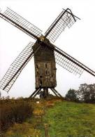 SINT-ANTELINKS (O.Vl.) - Molen/moulin - Historische Opname Van De Vervallen Molen Ter Rijst In 1972, Ingestort In 1976 - Herzele