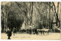 Saint Pons Promenade Du Foirail Animée éditeur  E. Létuvé - Saint-Pons-de-Thomières