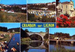 43  Souvenir De  CHAMBON SUR LIGNON - Le Chambon-sur-Lignon